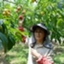 한울푸드 이미지