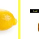 일등푸드 이미지