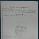 시목초등학교 | &lt;체험후기&gt; 찾아가는 박물관 - 태안 시목초등학교