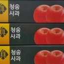 청송꿀사과 오두메농장 이미지