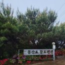 몽산포황토
