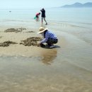 바람아래해수욕장 이미지