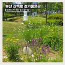 씨유부산시민공원북문점 | 부산시민공원 6월 장미 꽃구경 부산 산책로 걷기좋은곳 추천