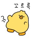 횡성귀족한우정육식당 이미지