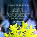 좋은생각 이미지