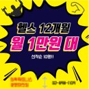 비벨라핏 이미지