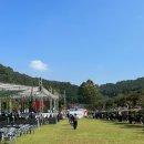 2024 대전 효문화 뿌리축제 실시간 후기