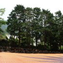 로하스콘도 이미지