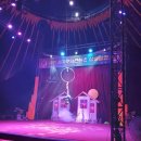 사천세계문화콘텐츠 상설공연장 이미지