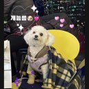 월드컵노래주점 이미지