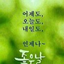 라솔 이미지