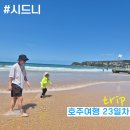 선미용타운 | [아이와 호주여행 23일차] 맨리비치(아니타, 락풀, 4pine brewing양조장), 버우드 차이나타운