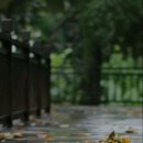 양평중학교 이미지