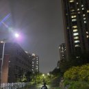 (유)미광물류 | 주말 아침 영업하는 제일기사백반 삼겹살 맛집