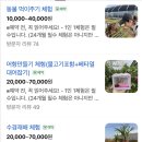 화성 트로피칼베이 농장체험 | 트랙터 타고 앵두따고 온 후기