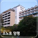 정원이 아름다운 소노휴 양평(구 대명 리조트) 패밀리 숙박(ft. 바베큐)