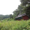 황박 묘 이미지