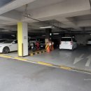 경산압량초등학교 이미지