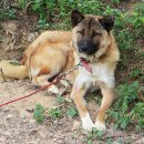 검산 농장 이미지