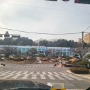 꽃동산로1 이미지