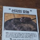 일품양평해장국산동