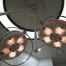 해담은동물병원 이미지