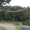 나오리농장 이미지