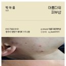 미조리스시 이미지