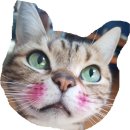 푸른들농장 이미지