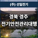 선일전기