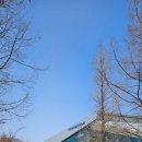 삼산월드체육관 | [인천 수영장 추천] 삼산월드체육관 자유수영 후기 🌊 넓은 샤워실에 반하고 온 내돈내산 리뷰 🏊‍♀️✨