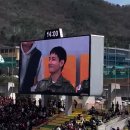 [2024 연말결산] 2024년 봄의 모습들 _