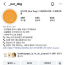 아우어독 네이버블로그