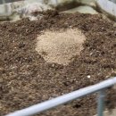 김용식농장 이미지