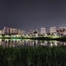 구도로통닭지제 | 평택지제동삭점 구도로통닭에서 맥주한잔 / 모산근린공원 산책