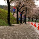 청사초롱 이미지