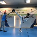 최강국가대표태권도 네이버블로그