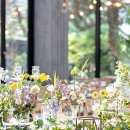 토브하우스 이미지