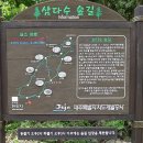삼다수숲길 1코스 네이버블로그