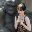 개강이라니?