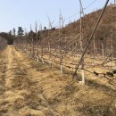 명선농장 이미지