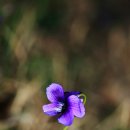Extension Tube 를 사용해서 이미지