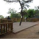 소나무공원 화장실 이미지