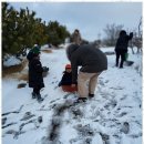 캐러가까 이미지