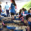 가교농산 이미지