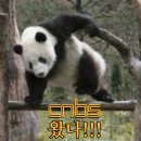 ⚔️✨CNBS✨를 대령해오거라⚔️-[🎙️🎞️CNBS 실무진 소개편📸📽️] 이미지