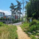 운수천계곡(1) 이미지