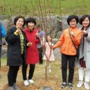 한들공원 이미지