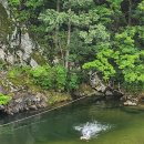 흰여울민박 이미지