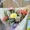 소화초 - 동구 팔공로 142-3 | 대구 동대구역 안 꽃다발 추천 소화초 내돈내산 후기